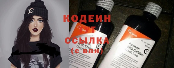 Альфа ПВП Няндома