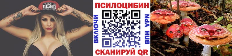Купить  Кукмор  Псилоцибиновые грибы ЛСД 